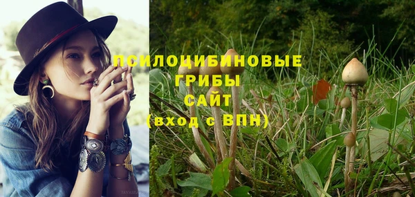 2c-b Белокуриха