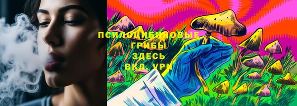 хмурый Михайловск