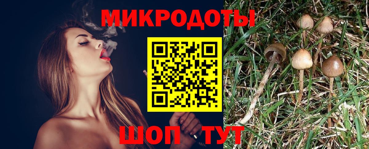 Псилоцибиновые грибы MAGIC MUSHROOMS Бузулук